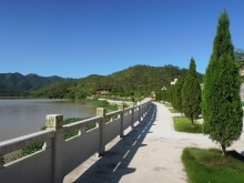 墓园环境