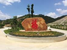 墓园环境