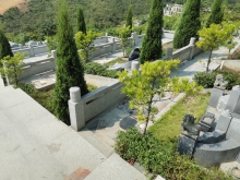 墓园环境